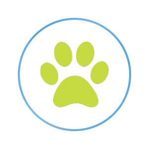 Paesonalized care for pets icon