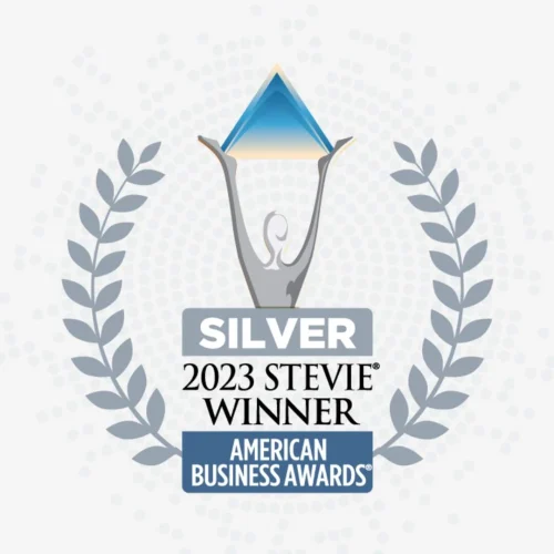 Silver Award in Marketing